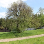 Current view of the premises of the Memorial